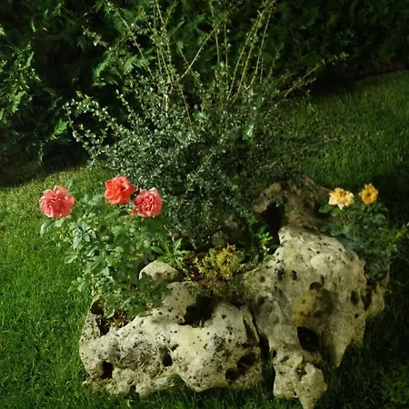 La Casa Del Nonno