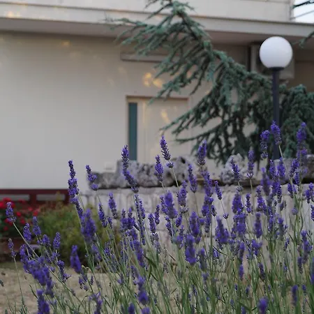 La Casa Del Nonno Отель типа 