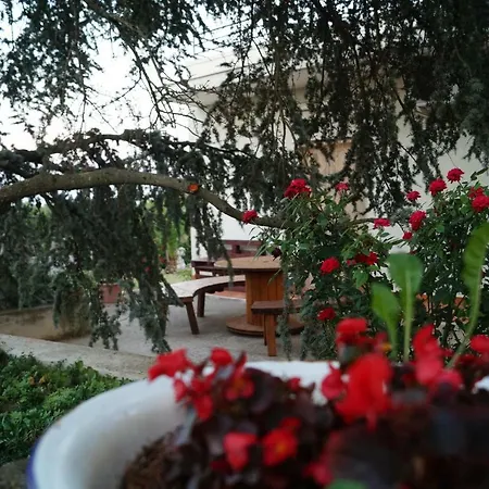 La Casa Del Nonno Альберобелло