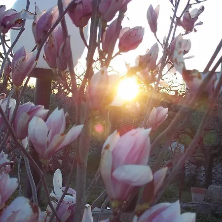 לינה וארוחת בוקר La Casa Del Nonno אלברובלו