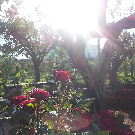 La Casa Del Nonno Alberobello