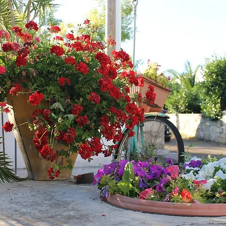 לינה וארוחת בוקר La Casa Del Nonno 3*