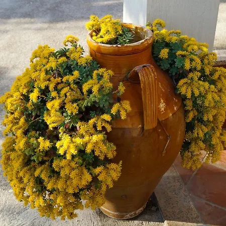 La Casa Del Nonno 3* אלברובלו