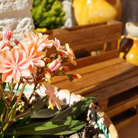 La Casa Del Nonno Bed & Breakfast 3*