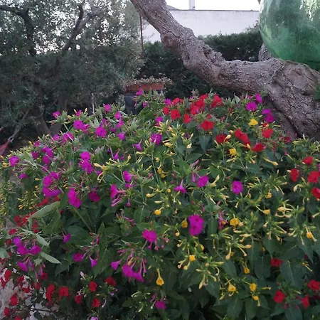 La Casa Del Nonno