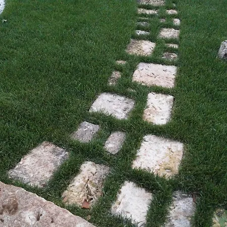 La Casa Del Nonno לינה וארוחת בוקר