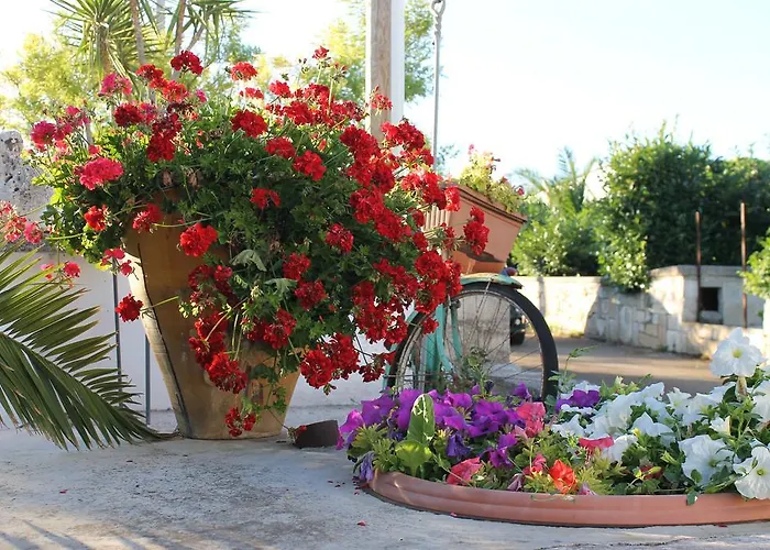 Oda ve Kahvaltı La Casa Del Nonno 3*