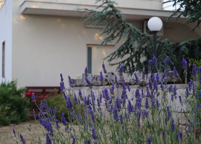 La Casa Del Nonno Oda ve Kahvaltı