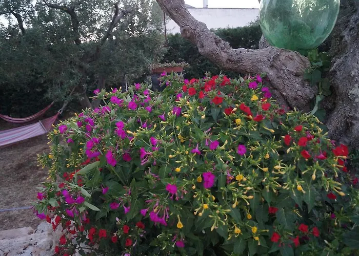 La Casa Del Nonno